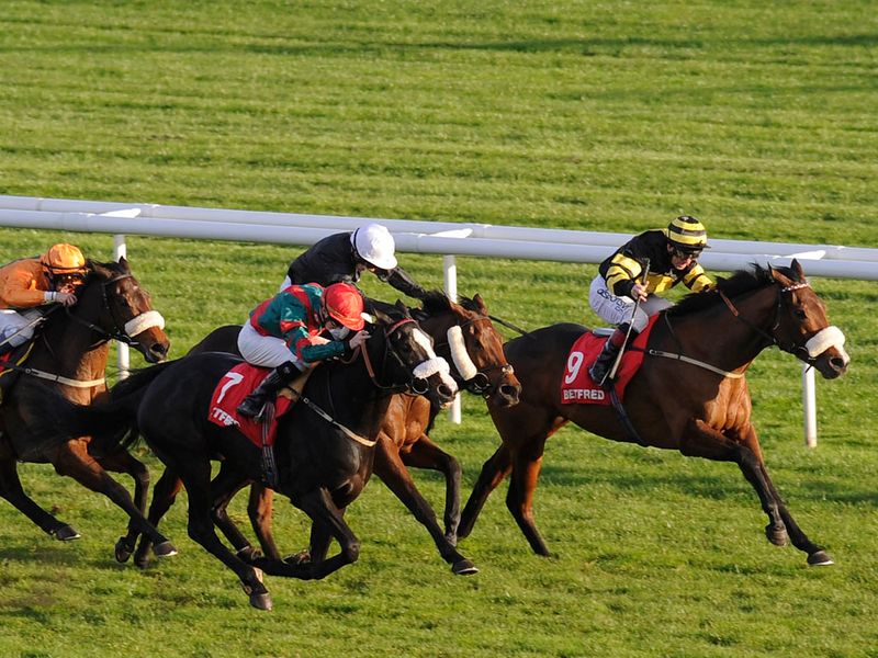 Art Scholar (right) wins the November Handicap