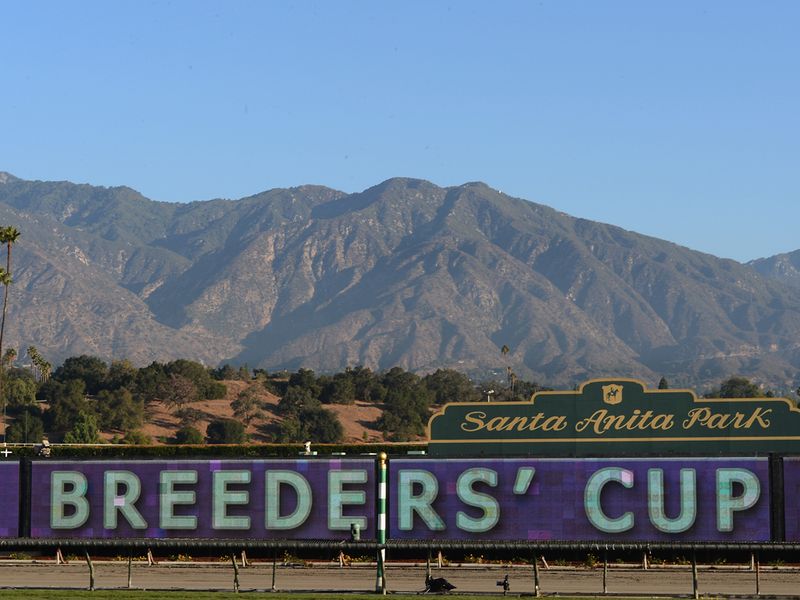 You can't miss it: The Breeders' Cup