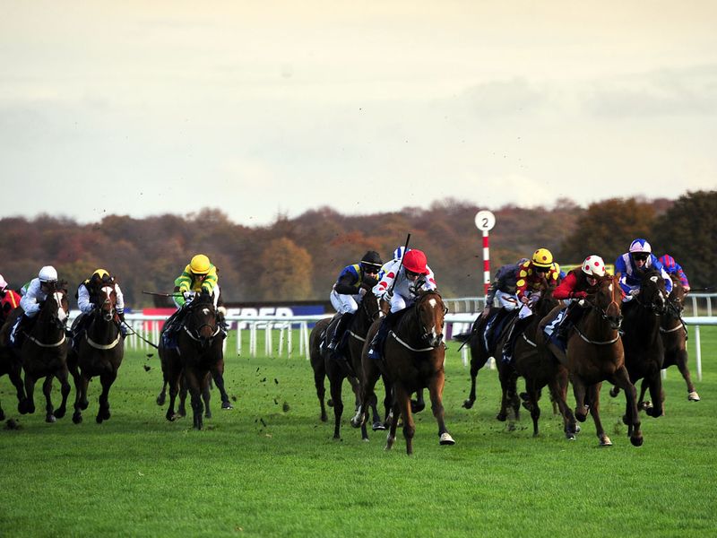 Desert Creek (white cap red spots) wins the opener at Doncaster