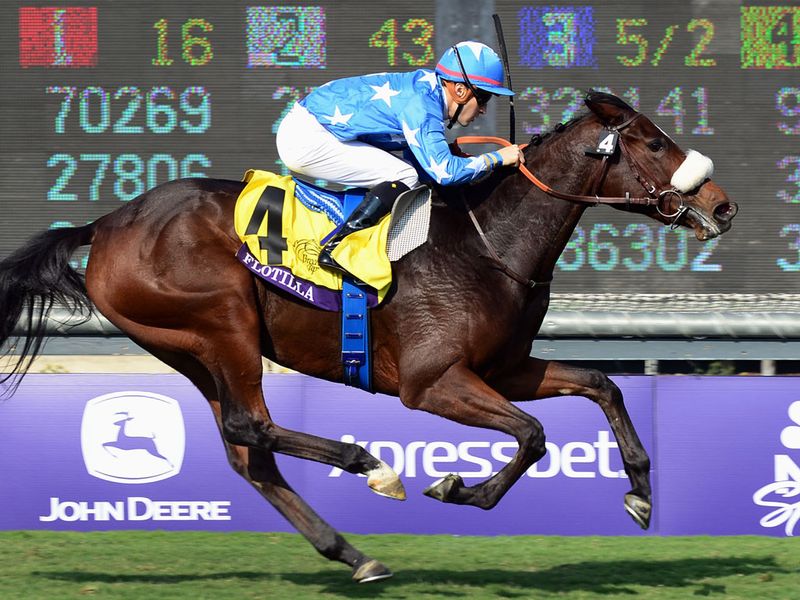 Flotilla charges home to become the first European winner...