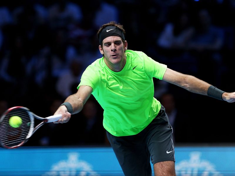 Del Potro hit back to force a decider