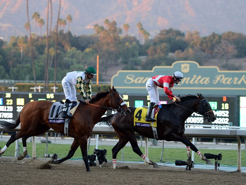 Fort Larned sees off Mucho Macho Man to land the Classic
