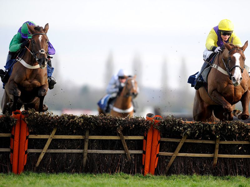 Dancingtilmidnight (left) jumps the last alongside Carole's Destiny before winning the mares hurdle