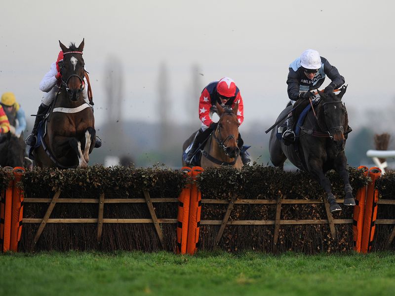 Fair Along rolls back the years to win the Pertemps Qualifier...