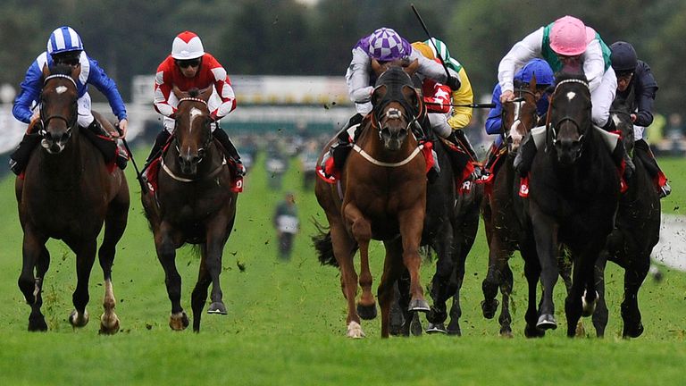 Haydock is on.....Navan off.....Ascot concerned....