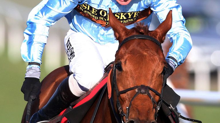 Tap Night: Won't make chasing debut at Sandown on Saturday