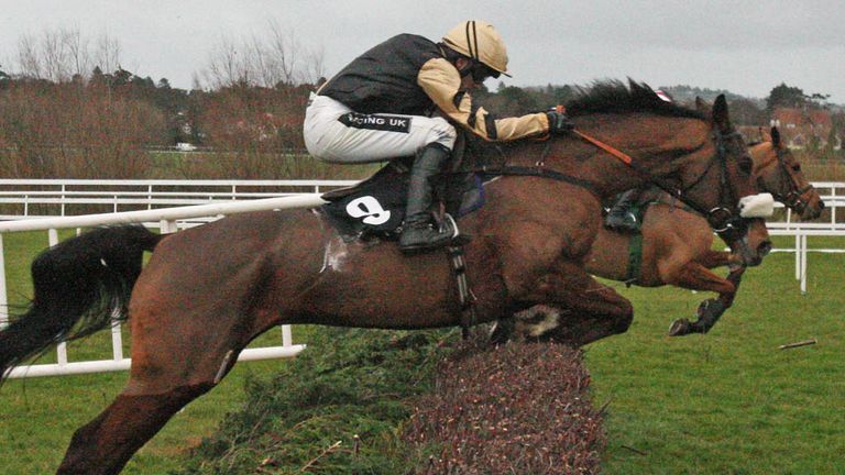 Tidal Bay: Won't run in the Irish Hennessy