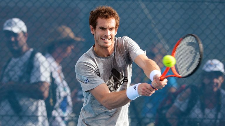 Andy Murray: Second favourite for Australian Open title
