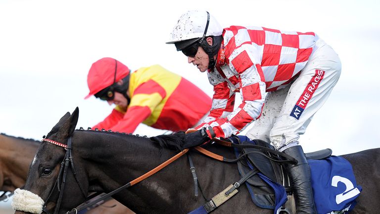 Puffin Billy: Has impressed for Oliver Sherwood