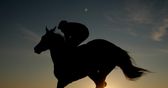 Stay involved in horse riding with some fun initiatives