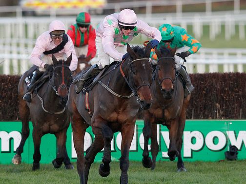 Arvika Ligeonniere: Can spark a good day for his trainer