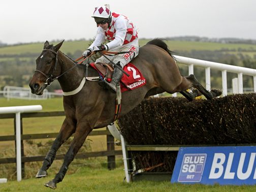 Flemenstar: Irish Hennessy hopeful