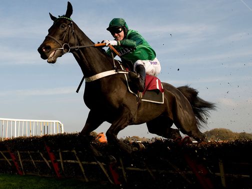 Grandouet: Alex's idea of the Champion Hurdle winner