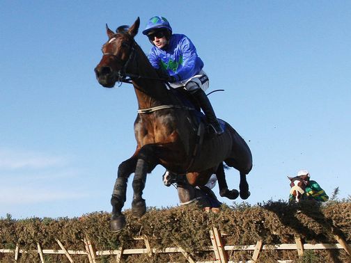 Hurricane Fly: Impressive