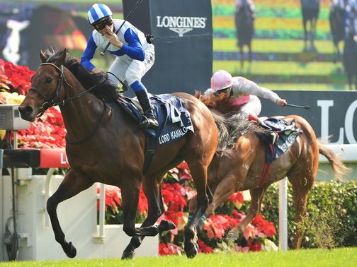 Lord Kanaloa: Landed the sprint for Japan