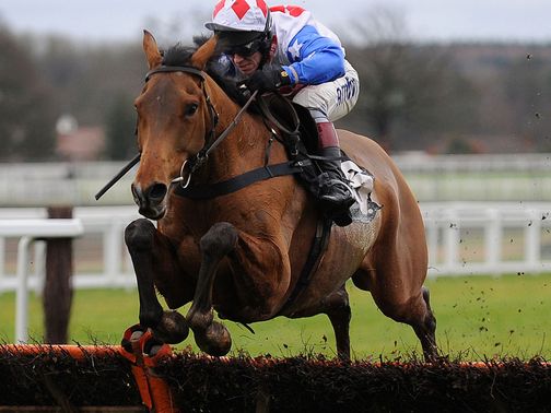 Reve De Sivola: Cleeve Hurdle-bound