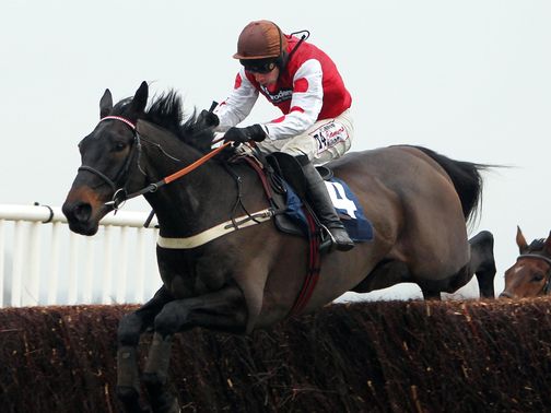 West End Rocker: Backed to take glory at Aintree