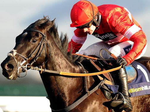 Sanctuaire: Can he give Sprinter Sacre a scare?