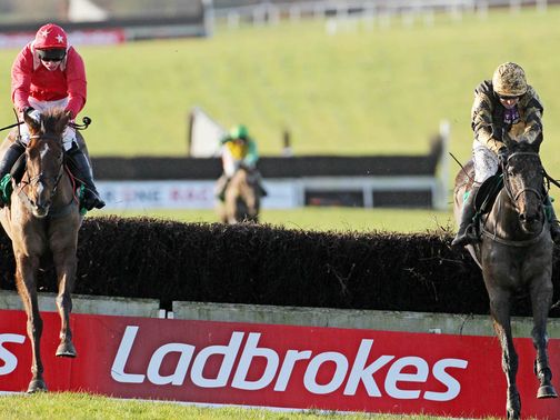 Boston Bob (r): Narrow winner at Navan