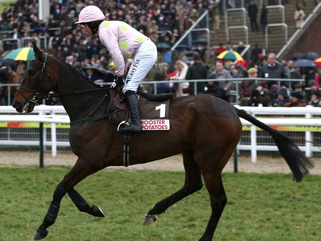 Arvika Ligeonniere: Looking to enhance his Arkle claims