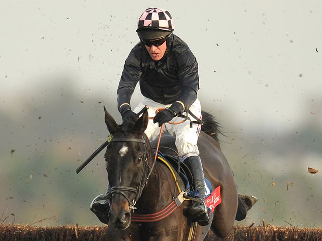 Court In Motion impressed with his jumping