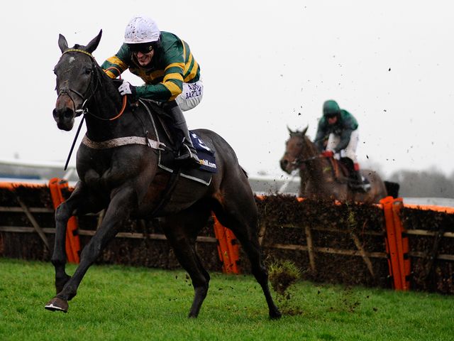 Darlan: Brilliant winner of the Christmas Hurdle