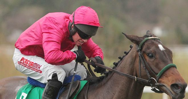 Monksland: Unlikely to run at Cheltenham