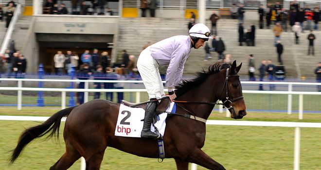 Solwhit: Could try his luck in France