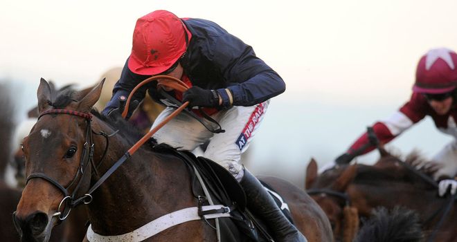 Bobs Worth: Cheltenham Gold Cup favourite