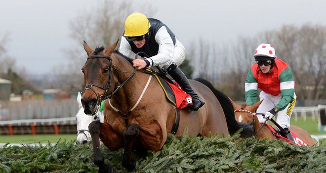 Hello Bud: Taken his Aintree exertions well
