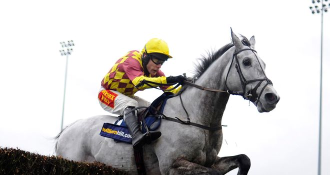 Dynaste: Looks set to go for the RSA Chase