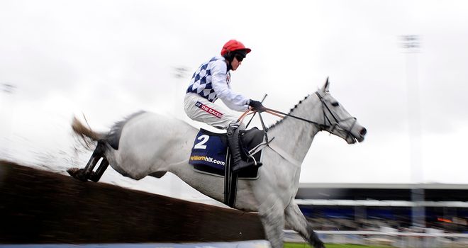 Simonsig: Heads 33 entries for the Racing Post Arkle Trophy