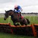 Irish Saint makes a winning British debut in the opening juvenile hurdle...
