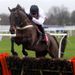 ...and they see River Maigue justify favouritism in the opener