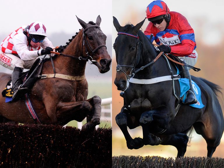 Flemenstar and Sprinter Sacre: Two of the greats of the game