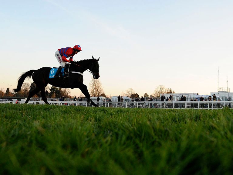 Sprinter Sacre heads seven entries for Saturday's feature