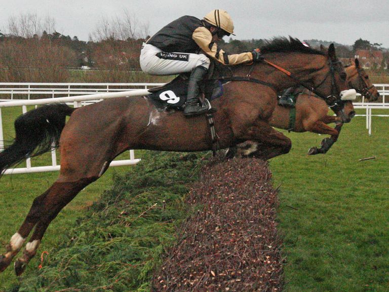 Tidal Bay: Ruled out of the Grand National