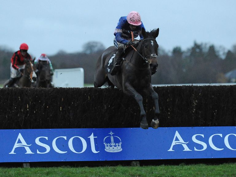 Ulck Du Lin: Can land the Greatwood Gold Cup