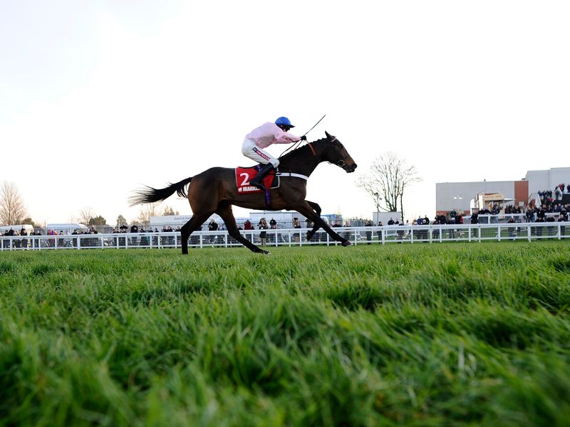 ...and earn 5/1 Arkle quotes in the process