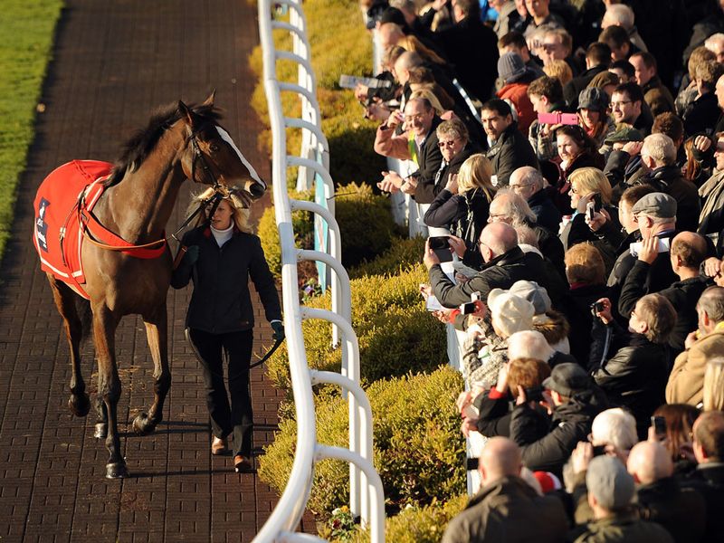 Kauto Star is paraded before racing