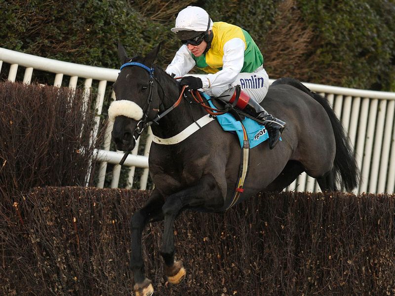 Lively Baron won the finale