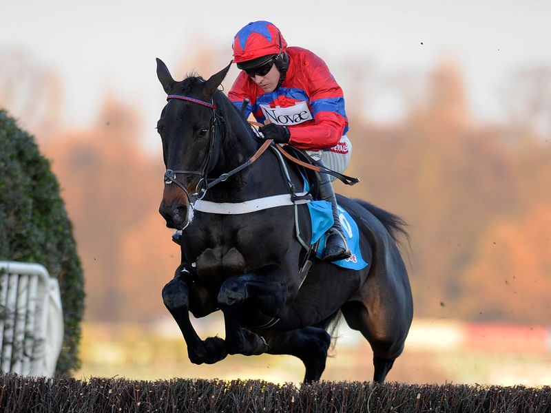 Sprinter Sacre put in an awesome performance in the feature...