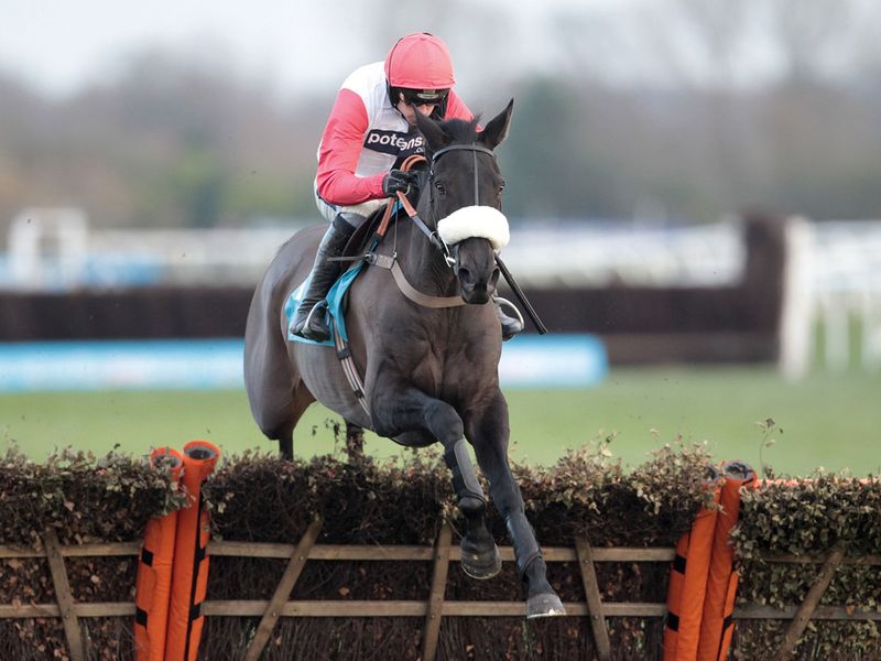 Big Buck's reappears in the Long Distance Hurdle...
