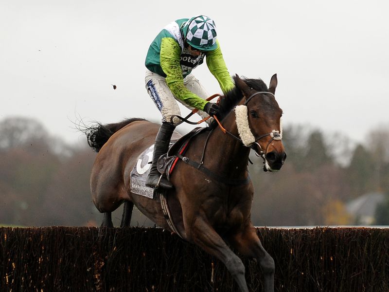 Cedre Bleu wins the novice chase for Paul Nicholls and Ruby Walsh