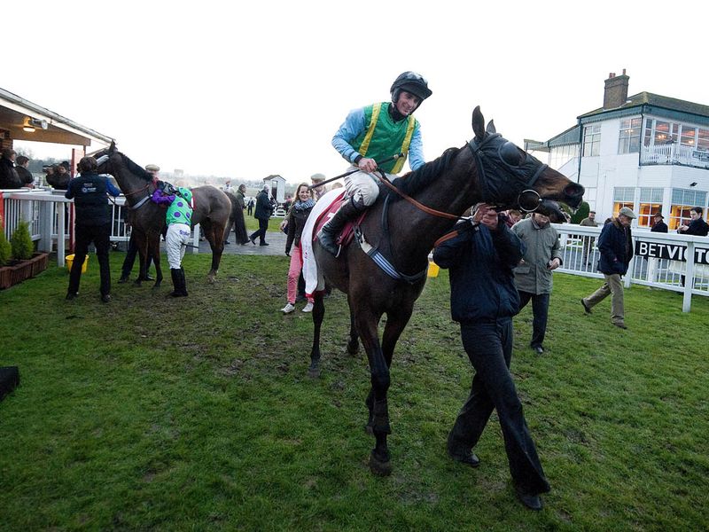 ...who returns to the unsaddling enclosure