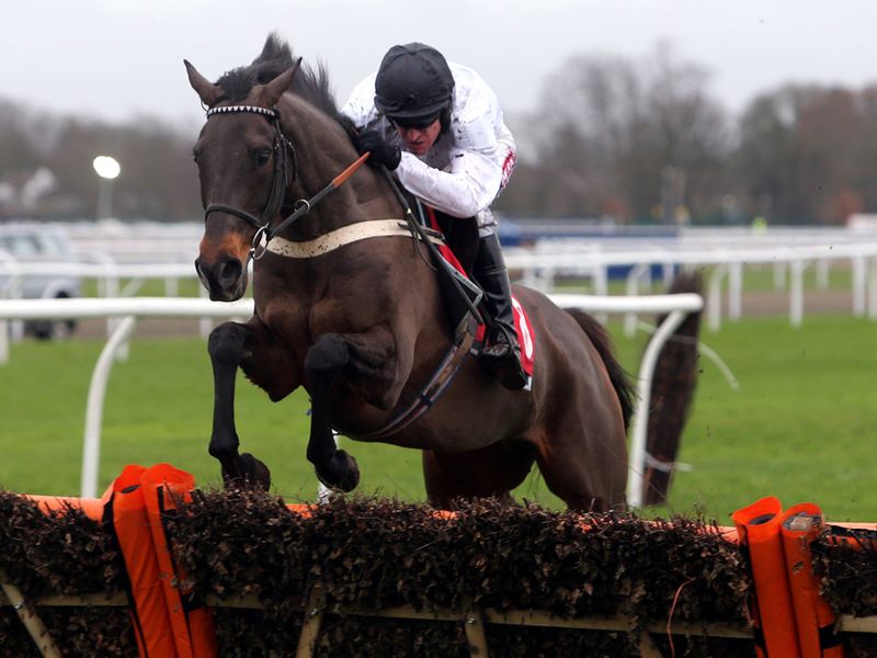 ...and they see River Maigue justify favouritism in the opener