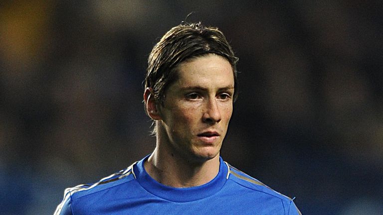 Fernando Torres: Has struggled for form throughout his time at Chelsea