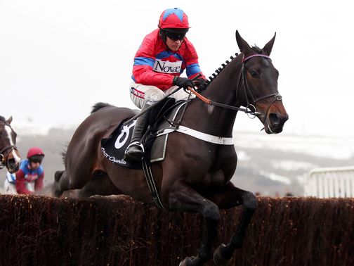 Sprinter Sacre: A facile winner of the Victor Chandler Chase