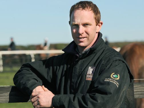 David O'Meara: Saddles Berlusca