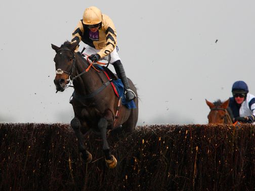 Fago: Worth a bet at 16/1 in the Arkle
